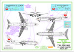 Decals-737-400-JTA-INST-1.jpg