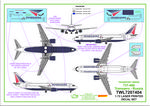 Decals-737-400-Trans A-INST-1.jpg