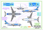 Decals-737-300-VASP-INST-1.jpg