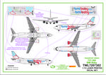 Decals-737-300-BMI-INST-1.jpg